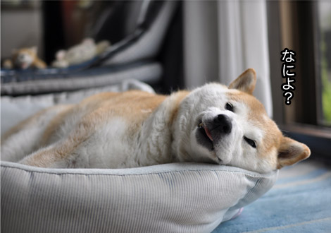 2日ブログ７.jpg
