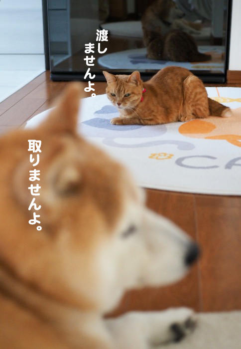 23日夕ブログ８