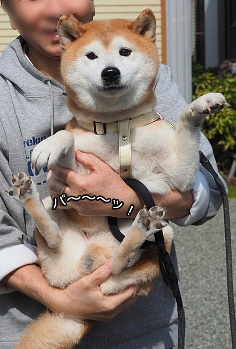 4日ブログ４