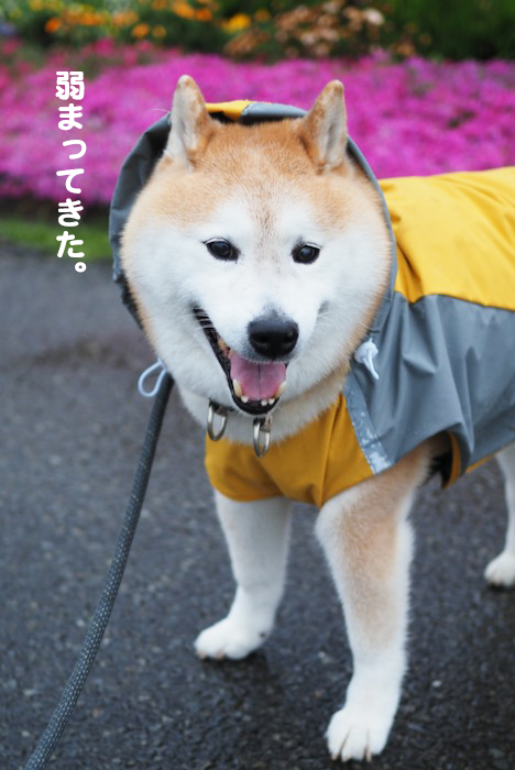 18日夜ブログ５