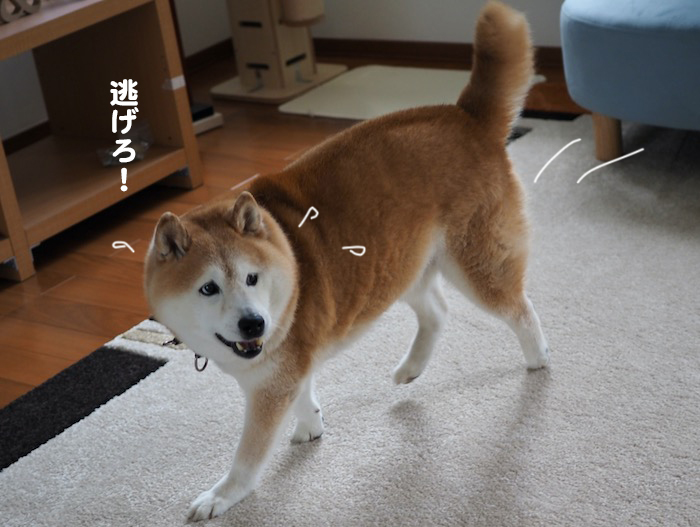 13日夕ブログ３