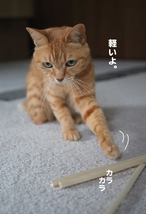 15日夕ブログ5