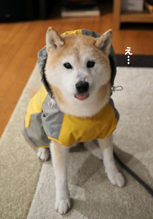 16日ブログ２