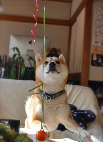 26日ブログ6.jpg
