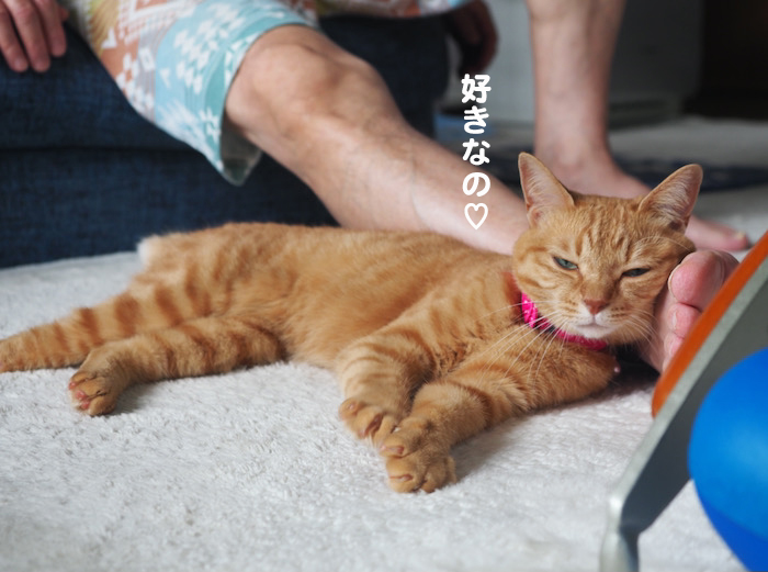 31日夕ブログ７