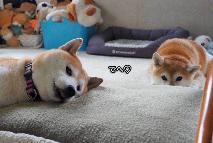 10日ブログ５