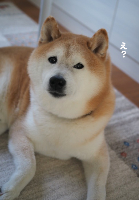 22日ブログ３