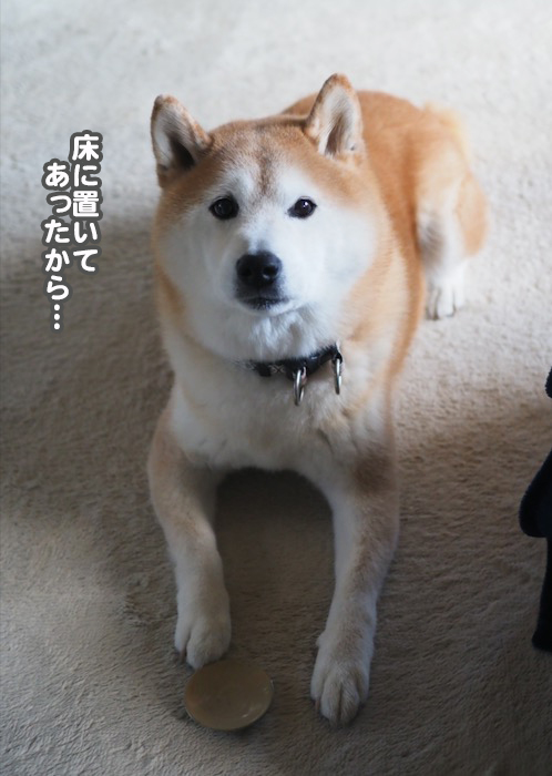 10日夕ブログ７