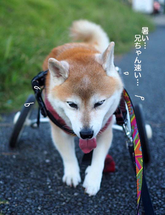 7日ブログ５