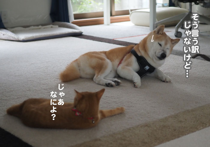 4日夕ブログ９
