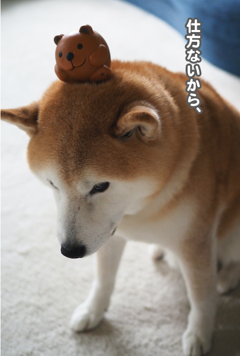 22日夜ブログ３