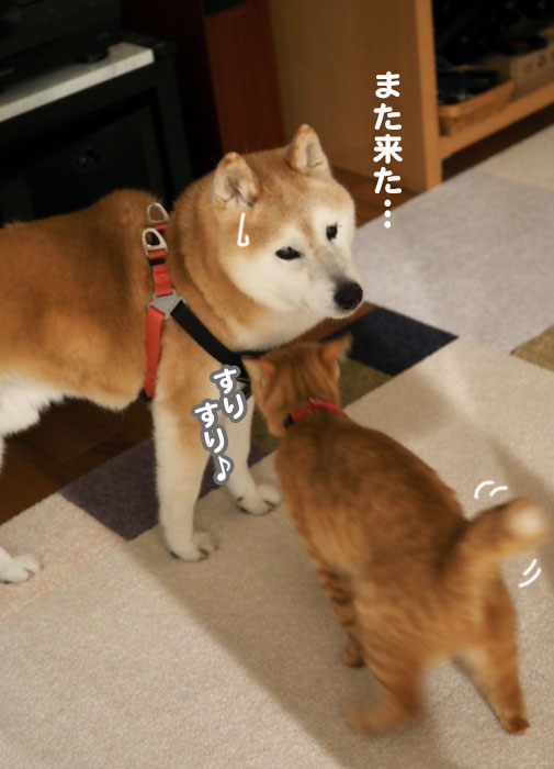 17日ブログ４