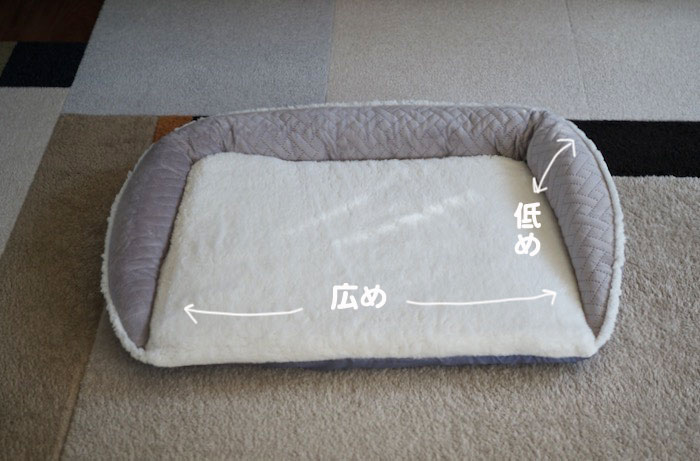 26日夕ブログ２