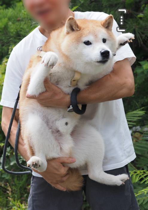9日ブログ３