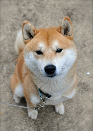 11日ブログ4.jpg