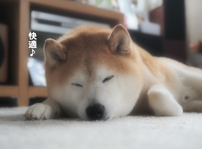 15日ブログ５