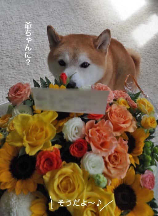 30日午後ブログ１