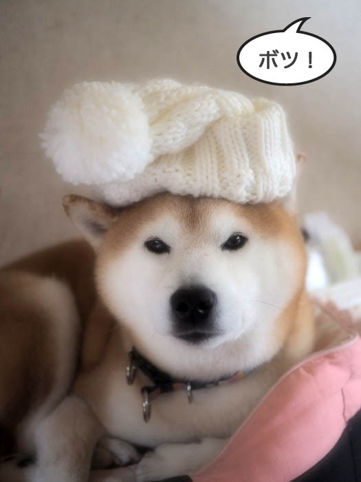 4日夕ブログ６