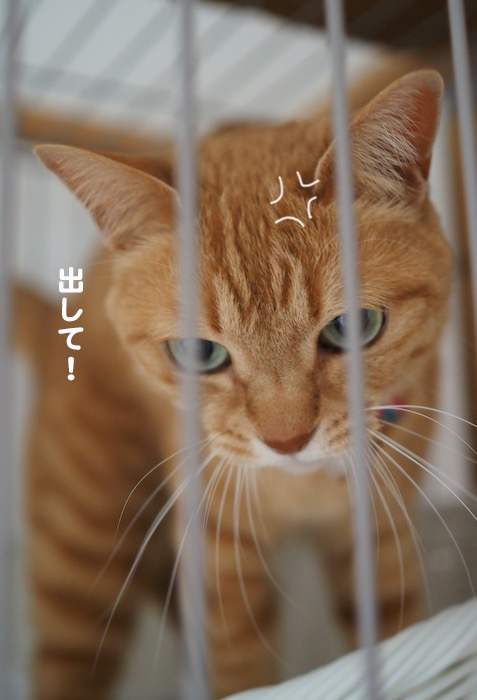5日夕ブログ２