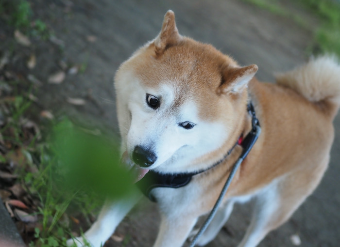 26日ブログ１