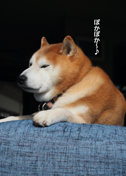 8日ブログ１