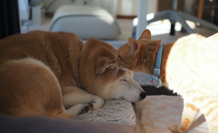 6日ブログ１