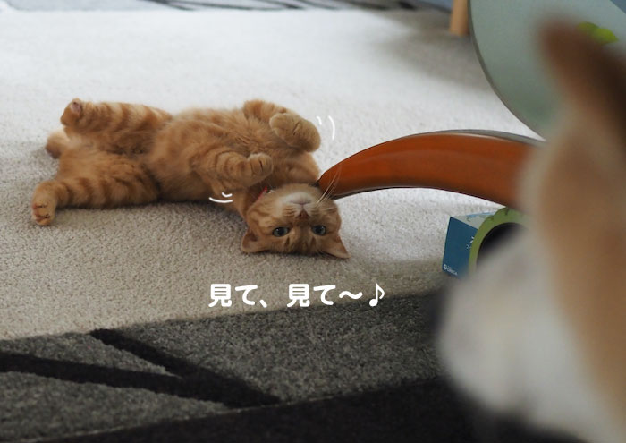 7日夕ブログ８