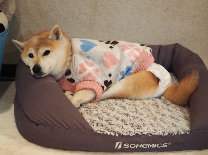 29日夜ブログ１