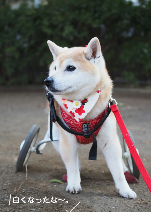 6日ブログ３