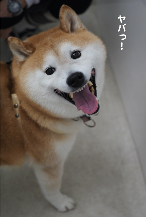 7日ブログ７