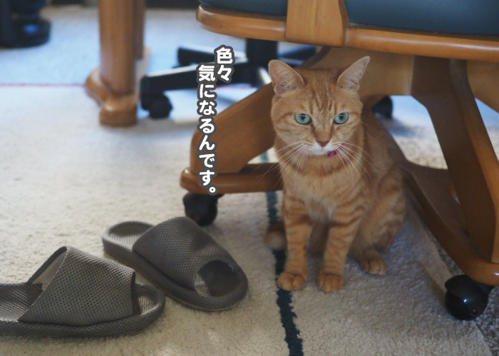 1日夕ブログ2