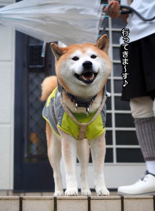 5日夕ブログ７