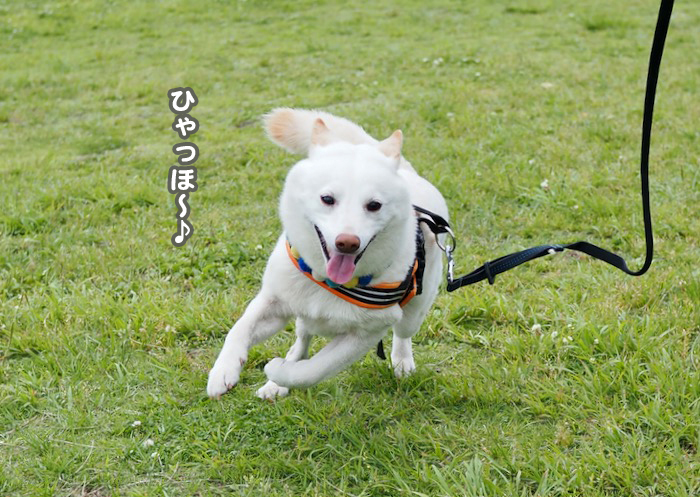 25日夕ブログ10