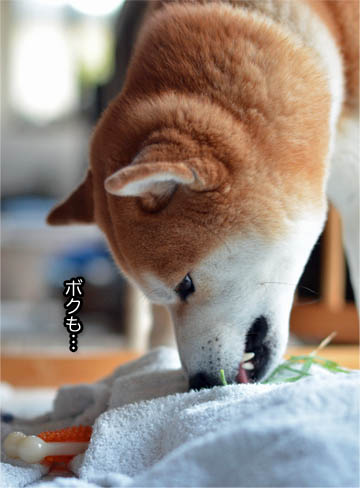 23日ブログ3.jpg