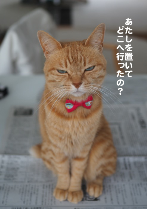 11日ブログ４