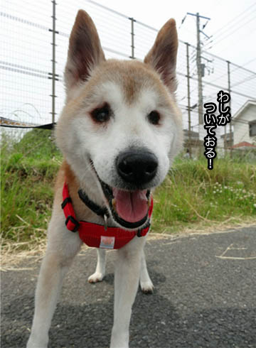 26日ブログ6.jpg