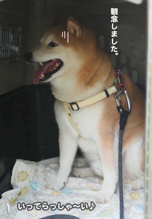 13日ブログ８