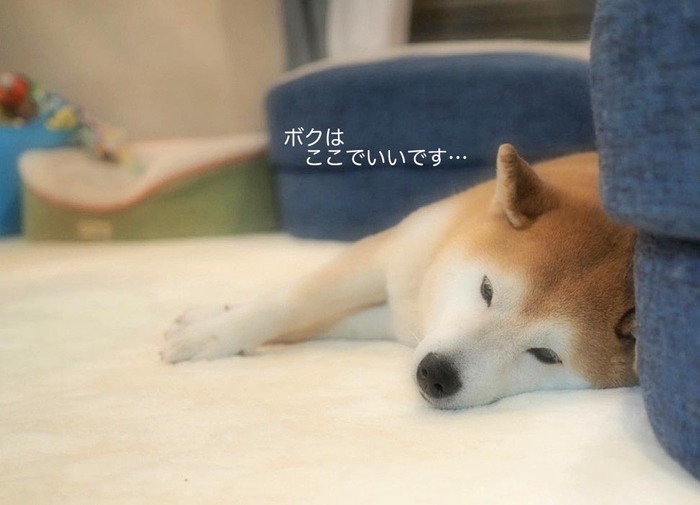 2日ブログ１６