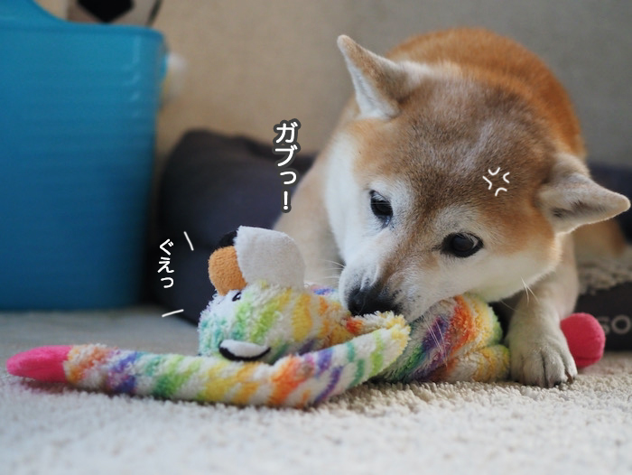 13日夜ブログ４