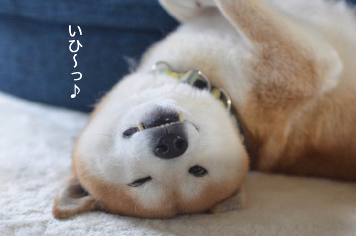 22日朝ブログ2