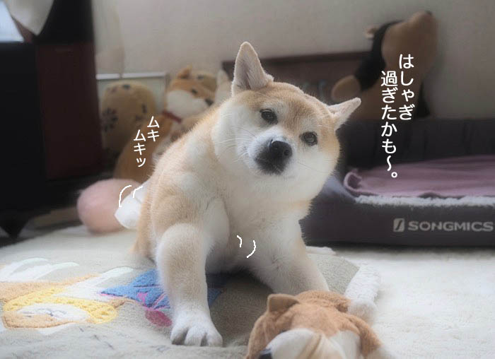 29日ブログ３
