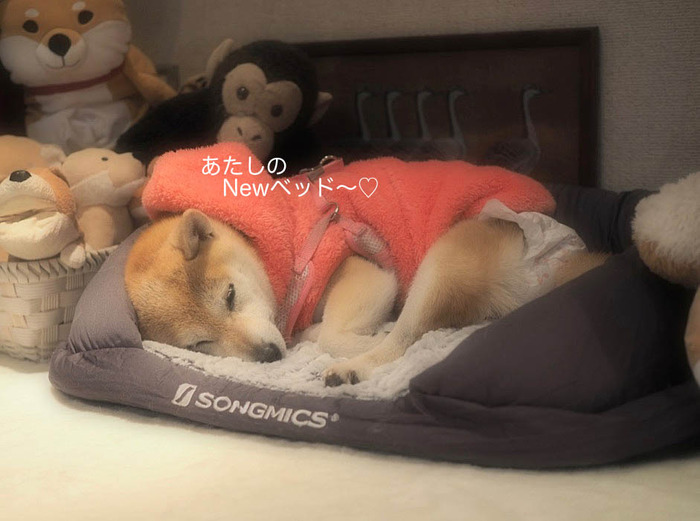 2日ブログ１５