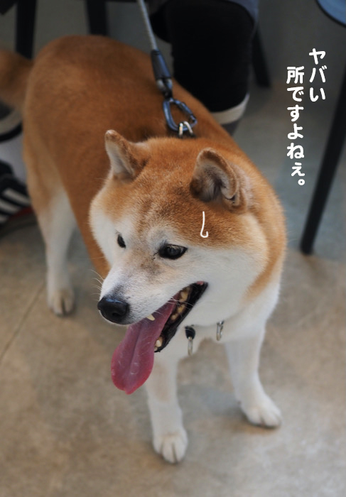 7日ブログ４