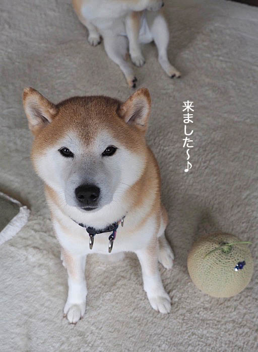 5日夜ブログ3