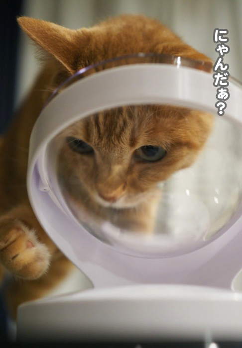12日夕ブログ５