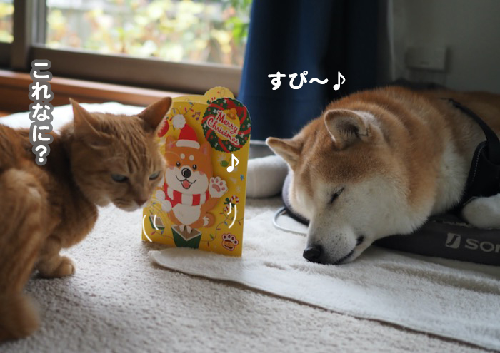 25日夕ブログ２