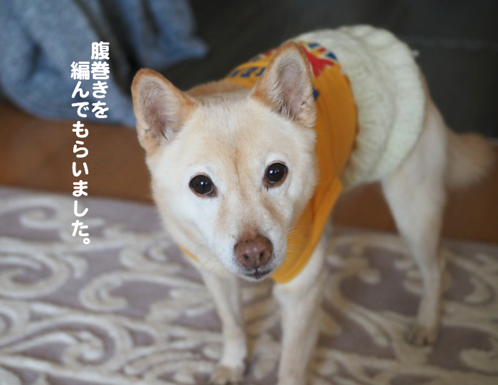 12日夕ブログ９