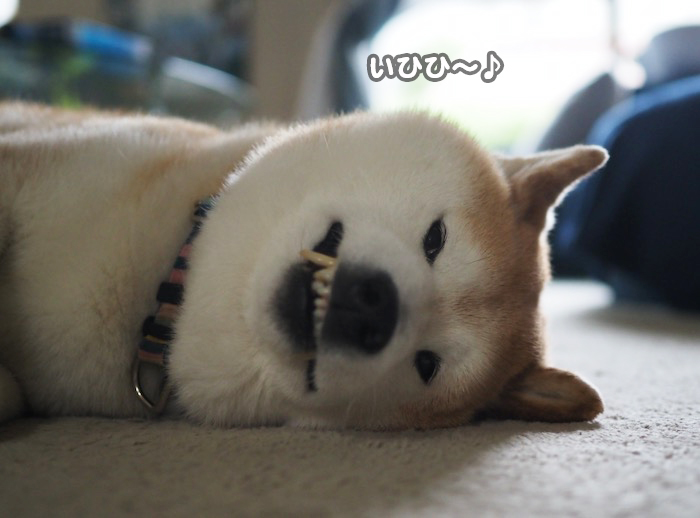 28日ブログ５