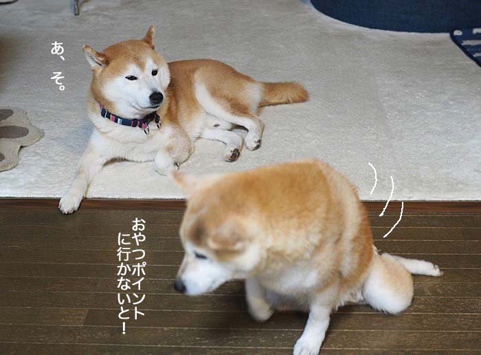 23日ブログ14