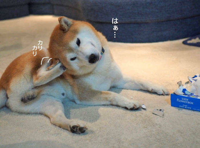 1日夜ブログ５